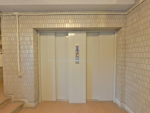 29/29 その他画像