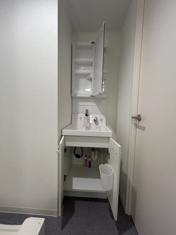 19/30 洗面