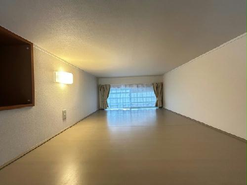 11/14 その他画像