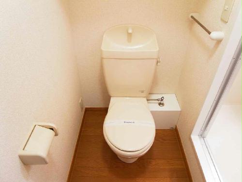 11/14 その他画像