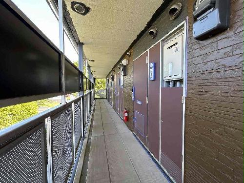 11/14 その他画像