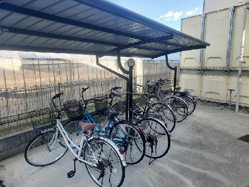 11/24 その他画像