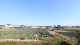 13/16 その他画像