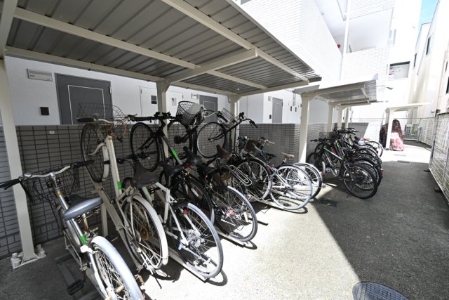 19/29 その他画像