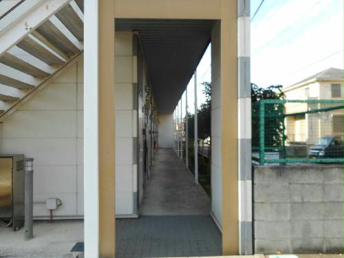 11/14 その他画像