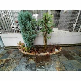 11/16 その他画像