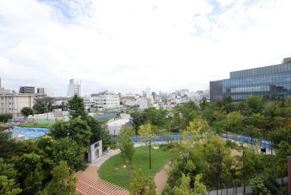 25/29 その他画像