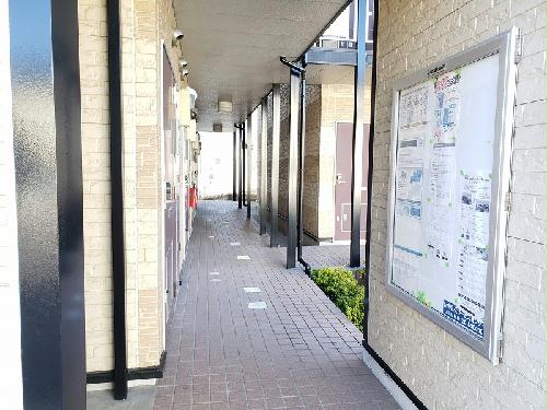 11/20 その他画像