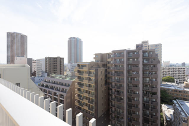 29/29 その他画像