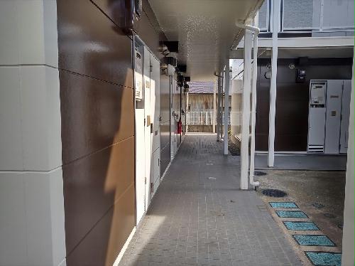 11/14 その他画像