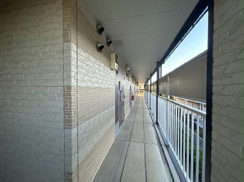 11/14 その他画像