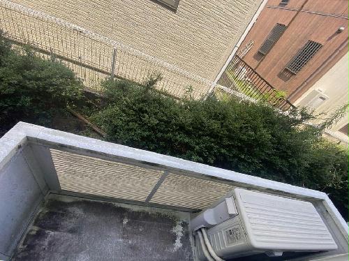 11/14 その他画像