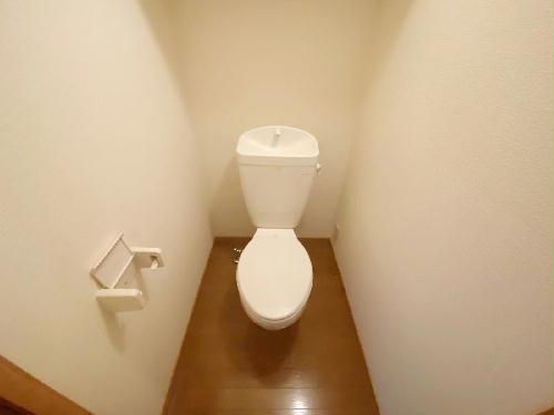 8/14 その他画像