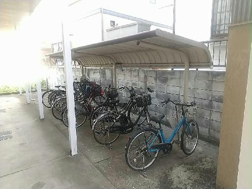 11/14 その他画像