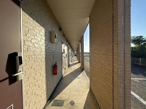 8/14 その他画像