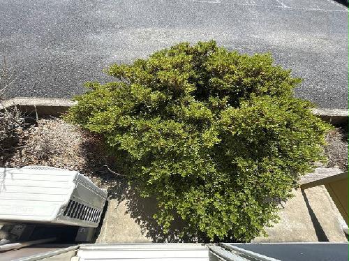 10/14 その他画像