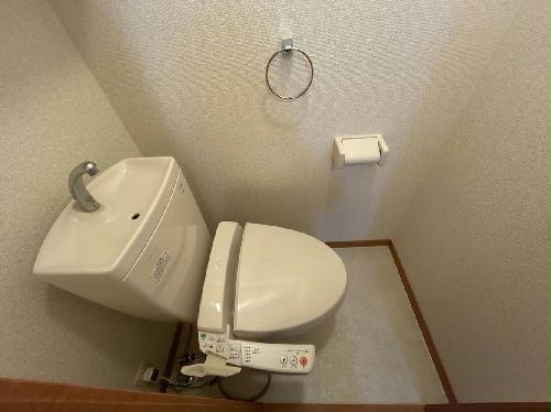 8/14 その他画像