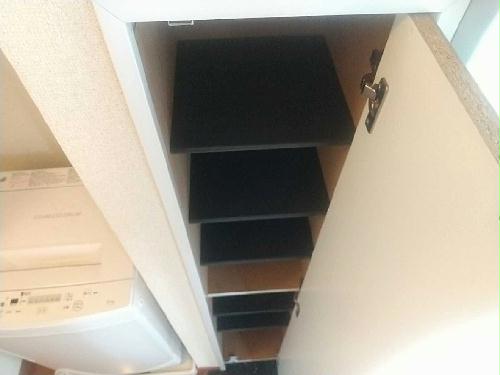 11/14 その他画像