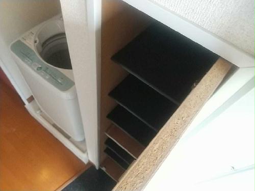 11/14 その他画像