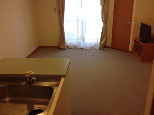 13/14 その他画像