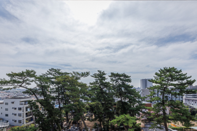 29/29 その他画像