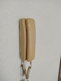 15/17 その他画像