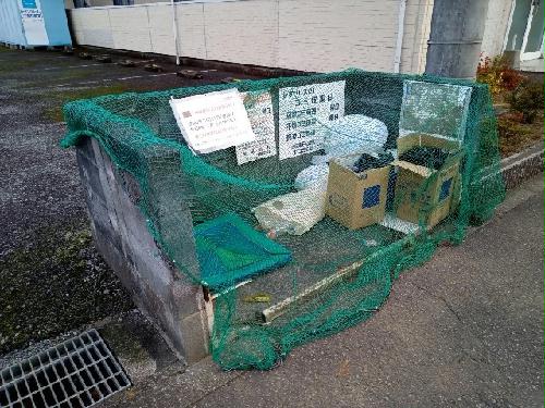 11/14 その他画像