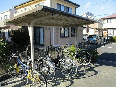 11/14 その他画像