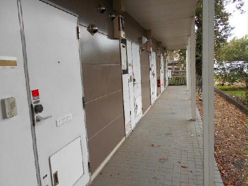 11/14 その他画像