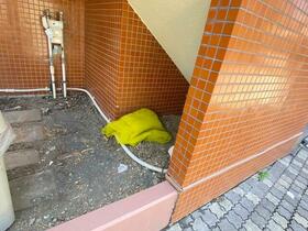 23/25 その他画像