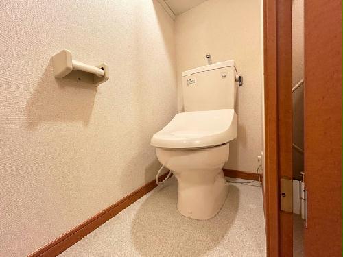 13/14 その他画像