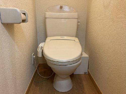 13/19 その他画像