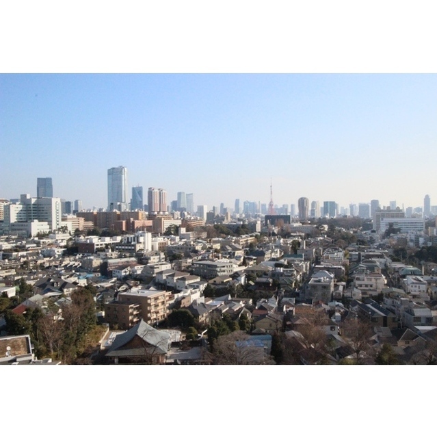 11/19 その他画像