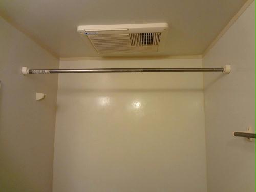 11/15 その他画像