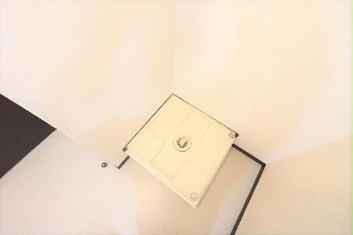 11/24 その他画像