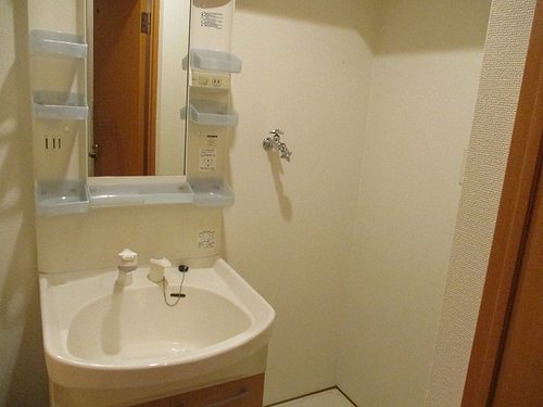 8/11 その他画像