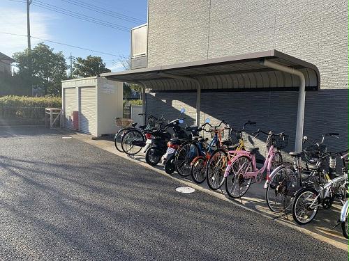 11/14 その他画像