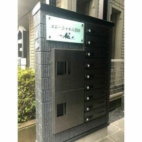 15/15 その他画像