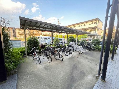 8/11 その他画像