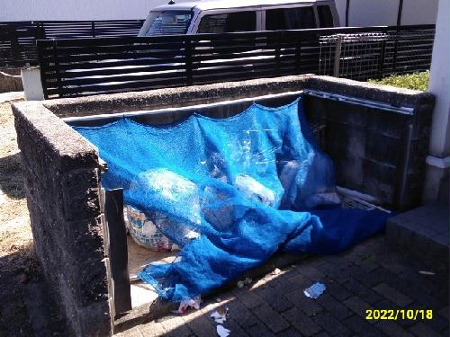 5/18 その他画像