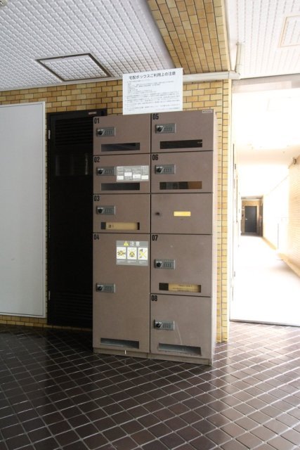 20/30 その他画像