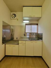 3/16 その他画像