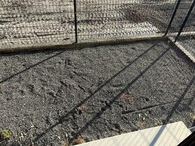 15/16 その他画像