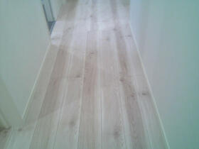 4/16 その他画像