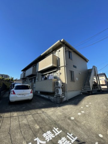 15/25 その他画像