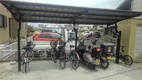 11/16 その他画像