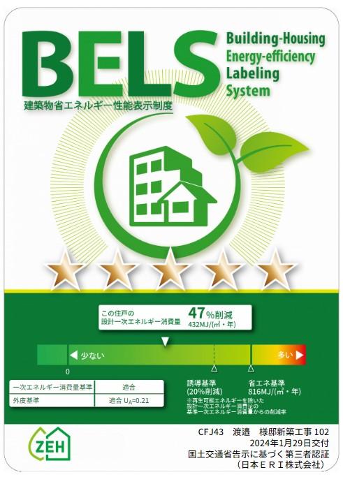 8/11 その他画像