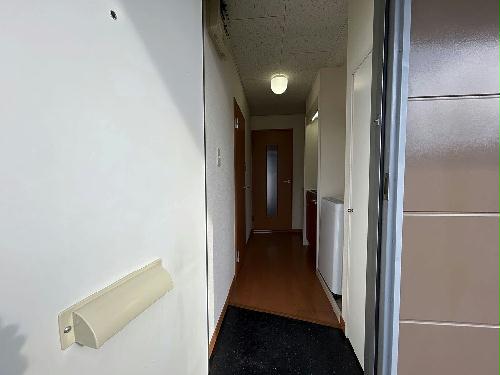 11/14 その他画像