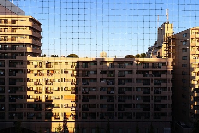 17/20 その他画像