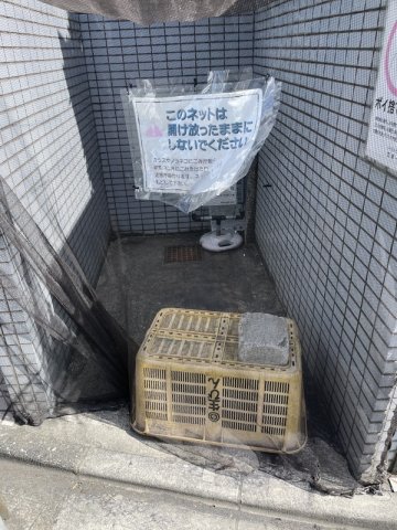 15/26 その他画像